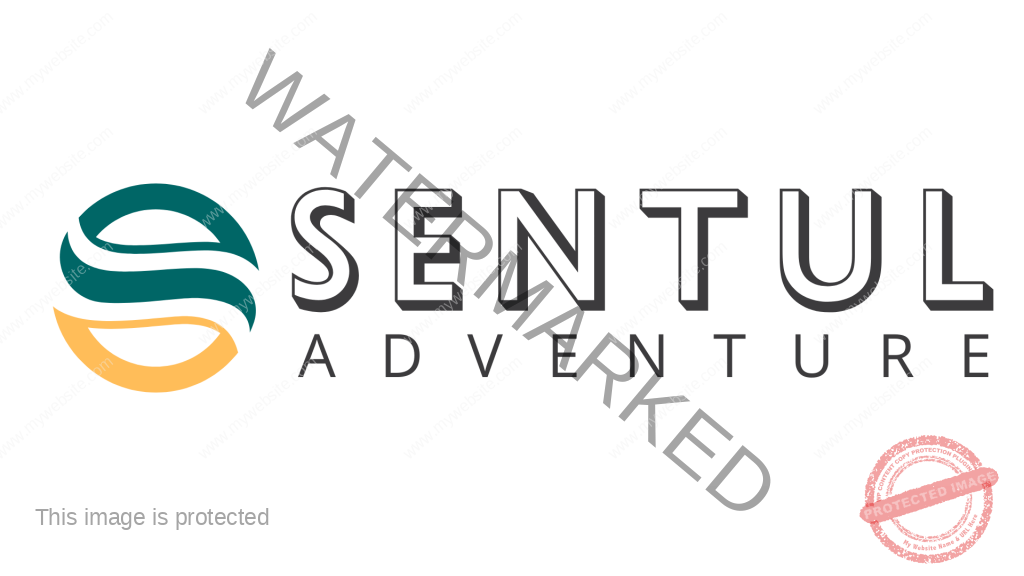 Outbound Sentul – Paket Outing Gathering Camping Bogor