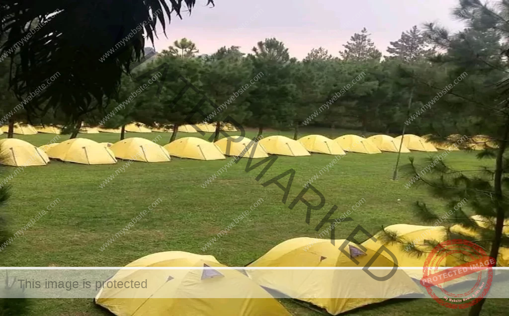 Semak Daun Village Bogor